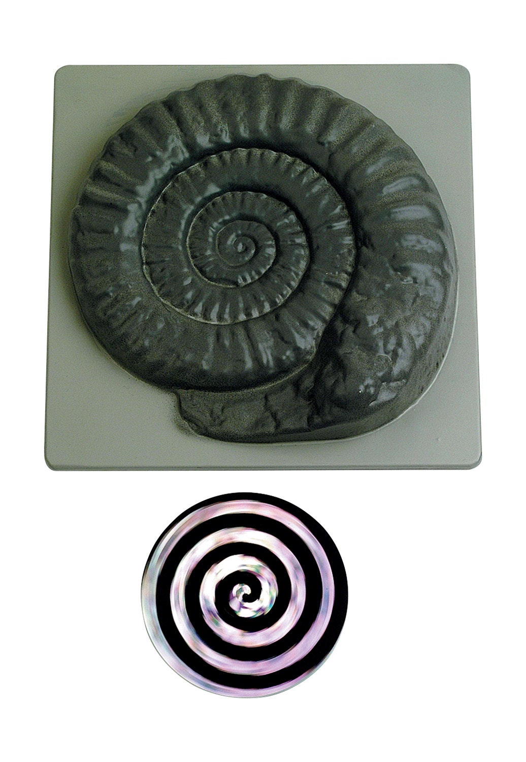 Magische slak | Hologramschijf