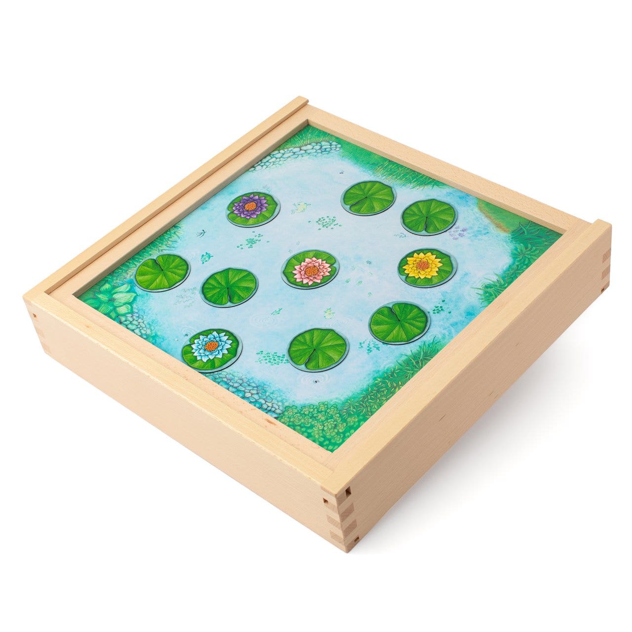 Kikker Rana & Verspringen - 2in1 magnetisch spel