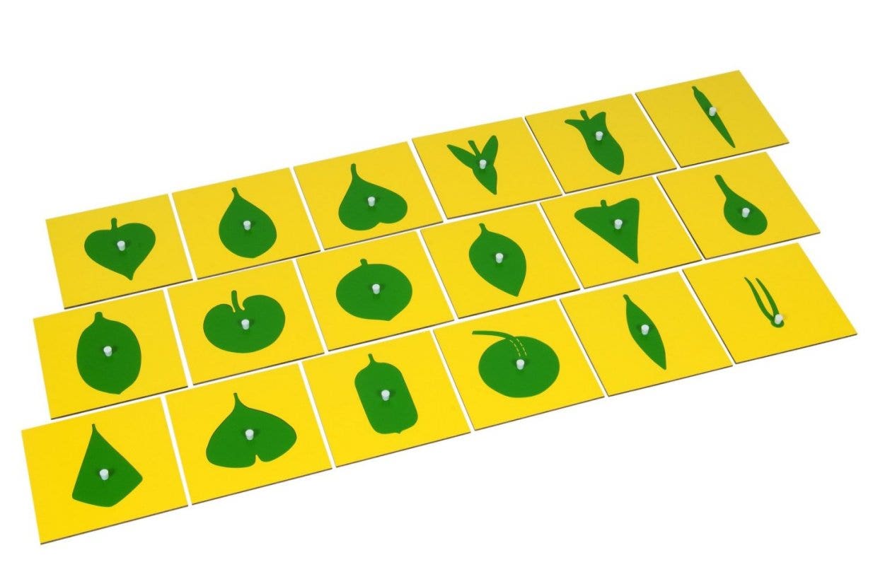 Inhoud biologisch kastje