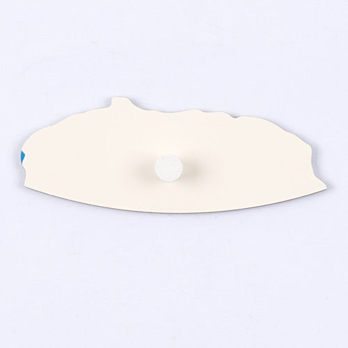 Inlegkaart werelddelen