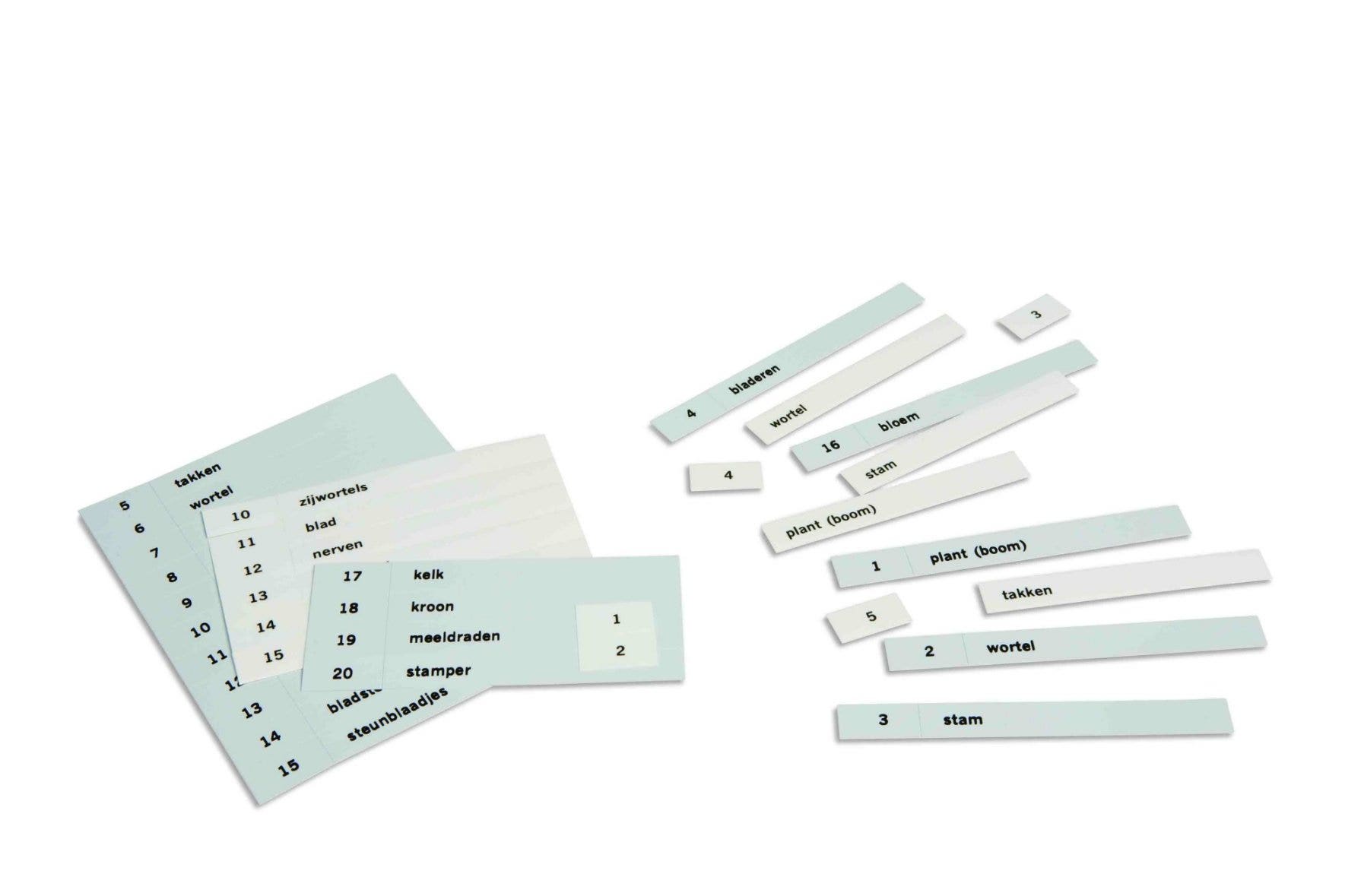 Naamkaartjes voor serie 1