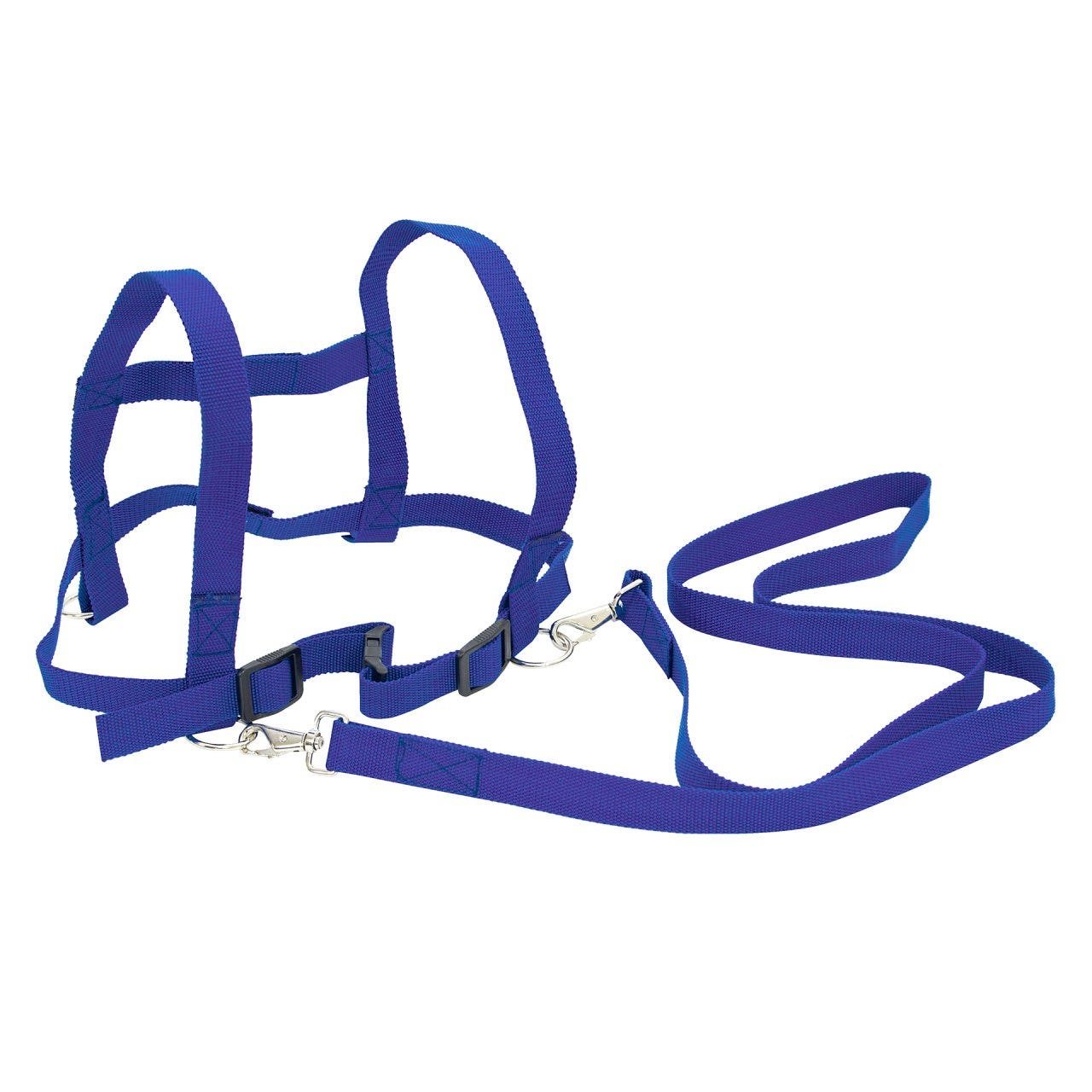 Paardentuigje | Blauw