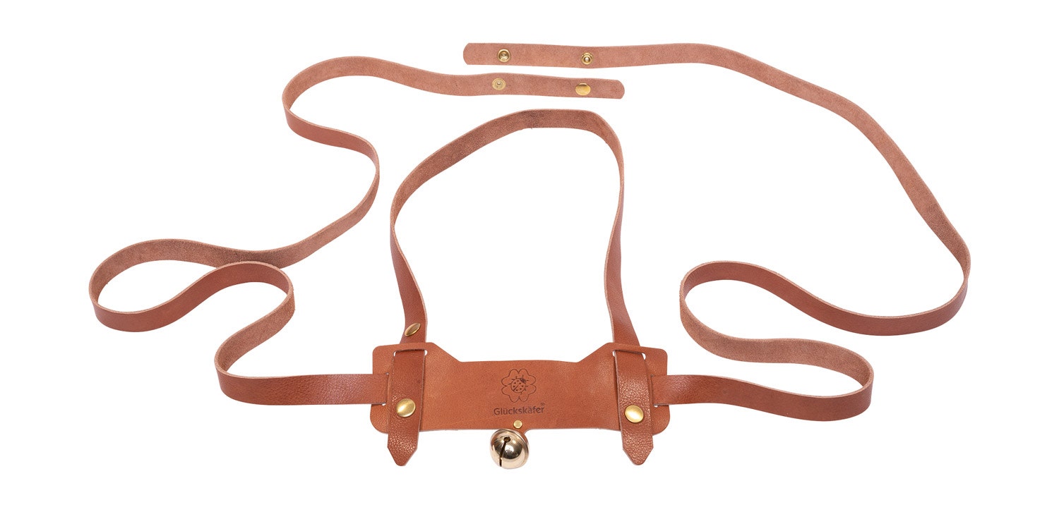 Paardentuig | Leer