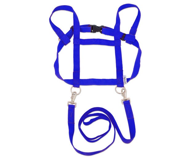 Paardentuigje - Blauw