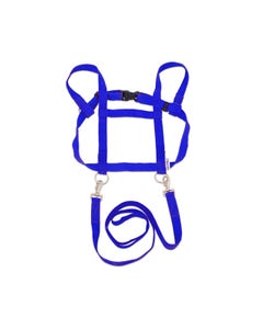 Paardentuigje - Blauw