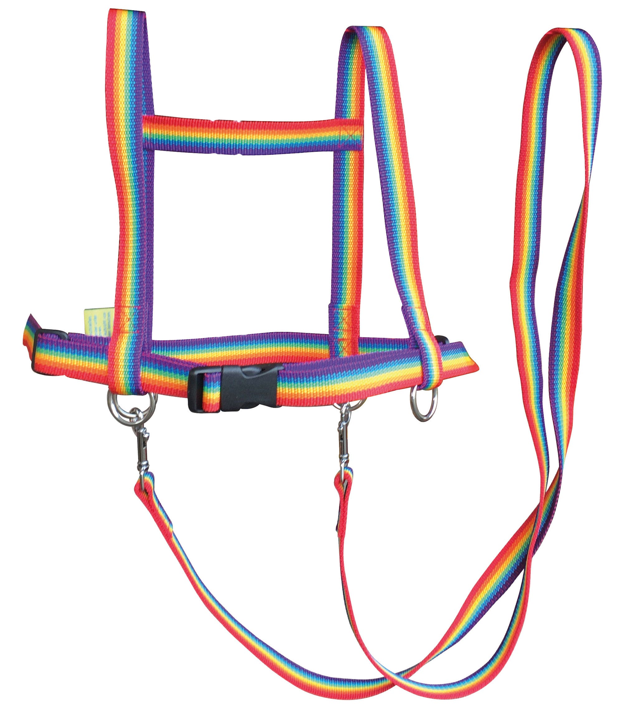 Paardentuigje | Regenboog