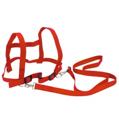 Paardentuigje | Rood