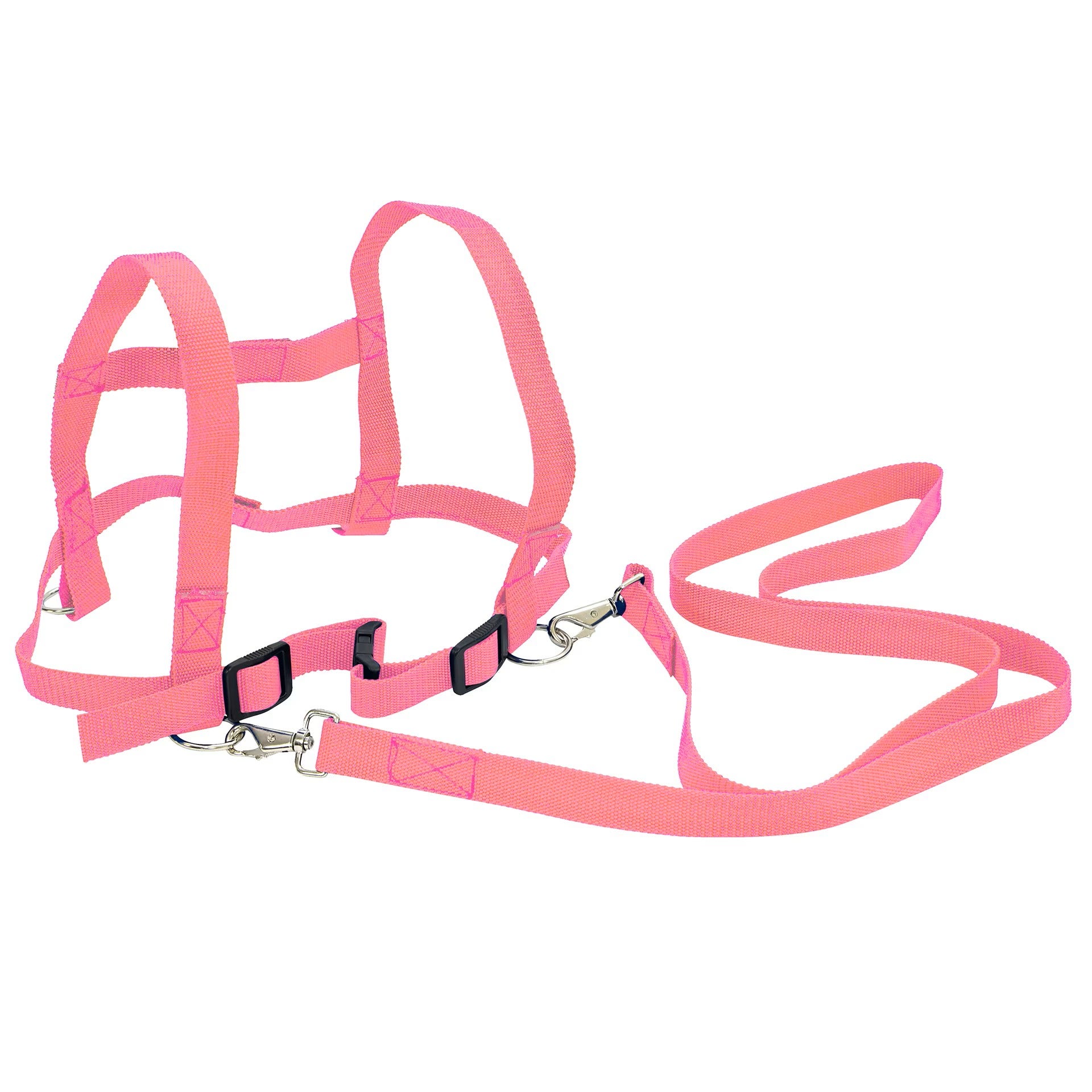 Paardentuigje | Roze