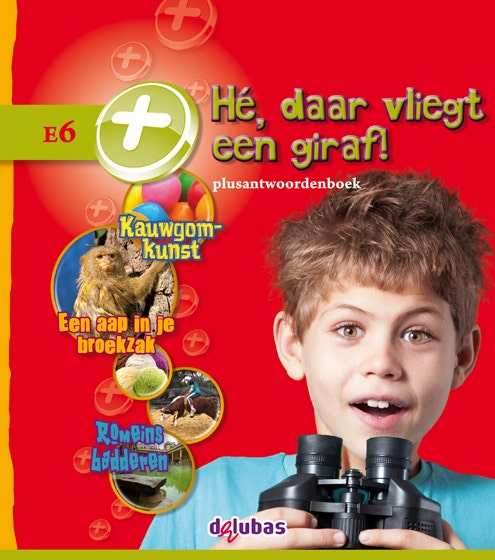 Plusantwoordenboek E6