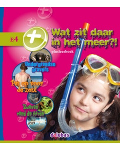 Plusleesboek E4