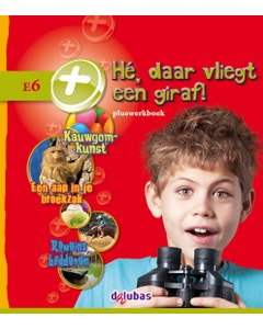 Pluswerkboek E6
