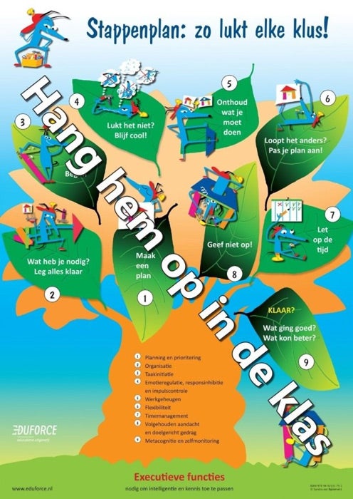 Poster Executieve functies