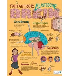Poster Je Fantastische Elastische Brein (set van 5)