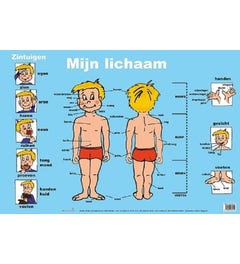 Poster Mijn lichaam - Edutrix