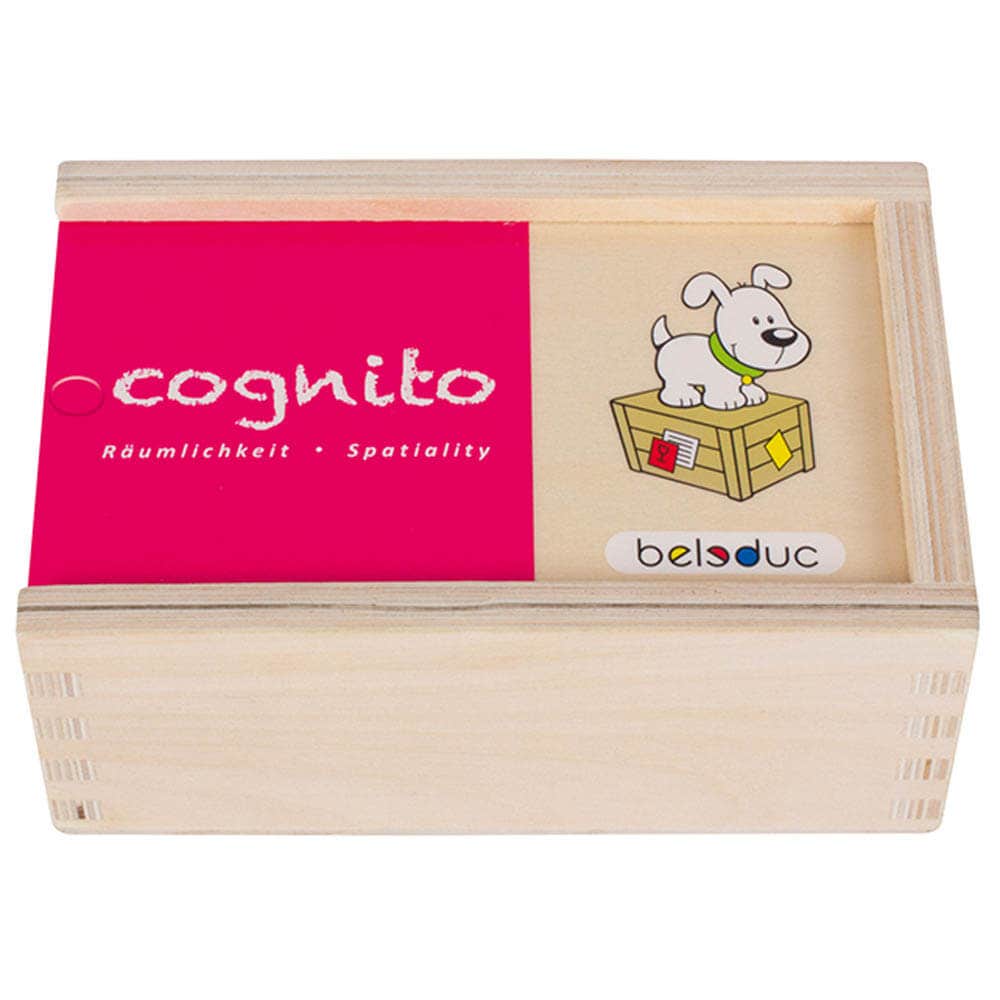 Puzzel | 20 stukjes | Cognito | Ruimtelijkheid