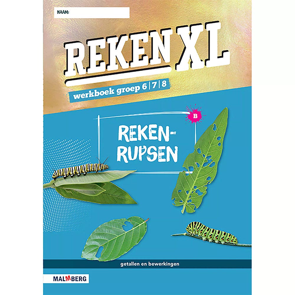 RekenXL Rekenrupsen-Gespiegeld