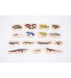 Reptielen en Amfibieën - Houten Blokken