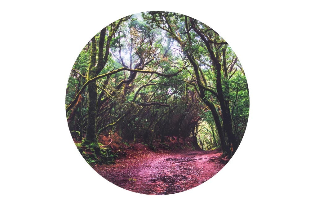 Speelmat op Ontdekking in het Bos