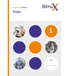 Strux - Praktijk en loopbaan - Stage 1
