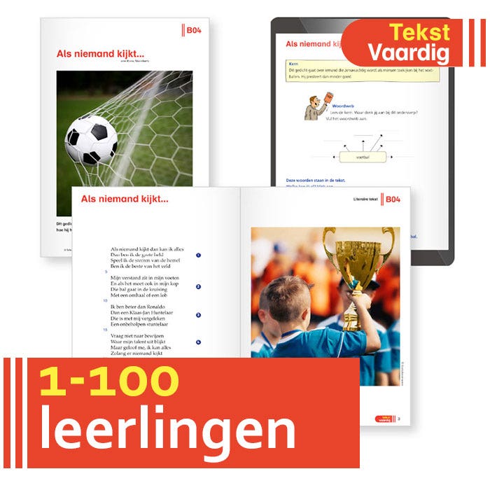 TekstVaardig Online School licentie, 100 leerlingen