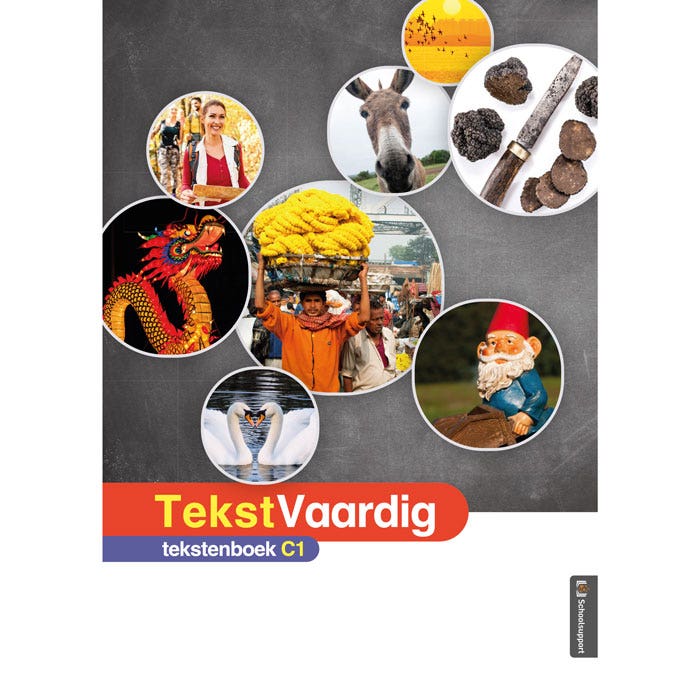 TekstVaardig Tekstenboek C1 (los exemplaar)