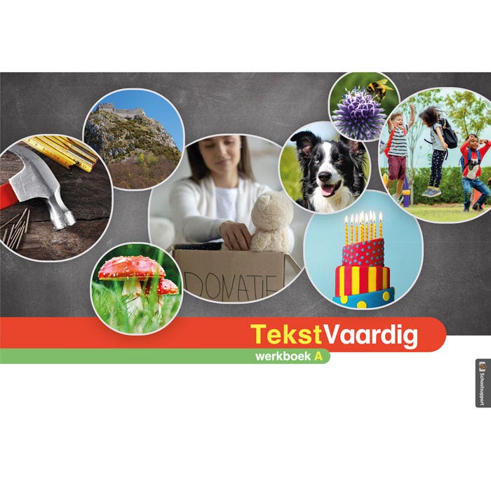 TekstVaardig Werkboek A (los exemplaar)