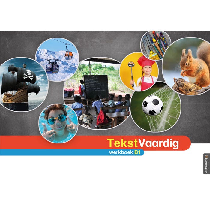 TekstVaardig Werkboek B1 (los exemplaar)