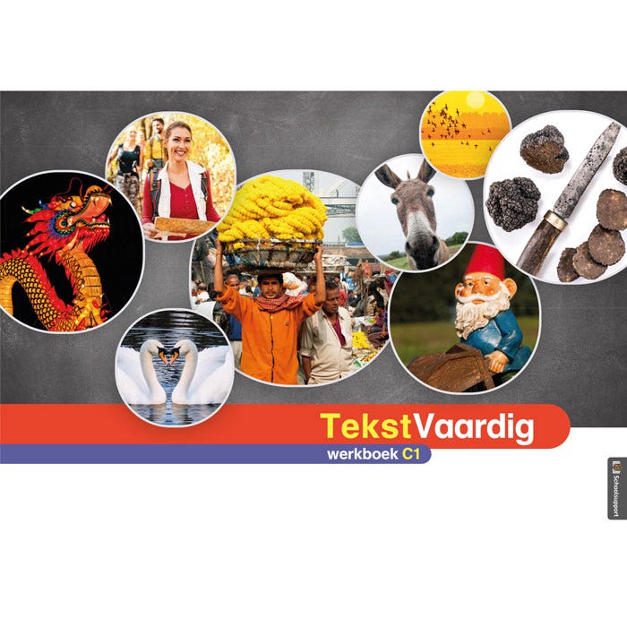 TekstVaardig Werkboek C1 (los exemplaar)