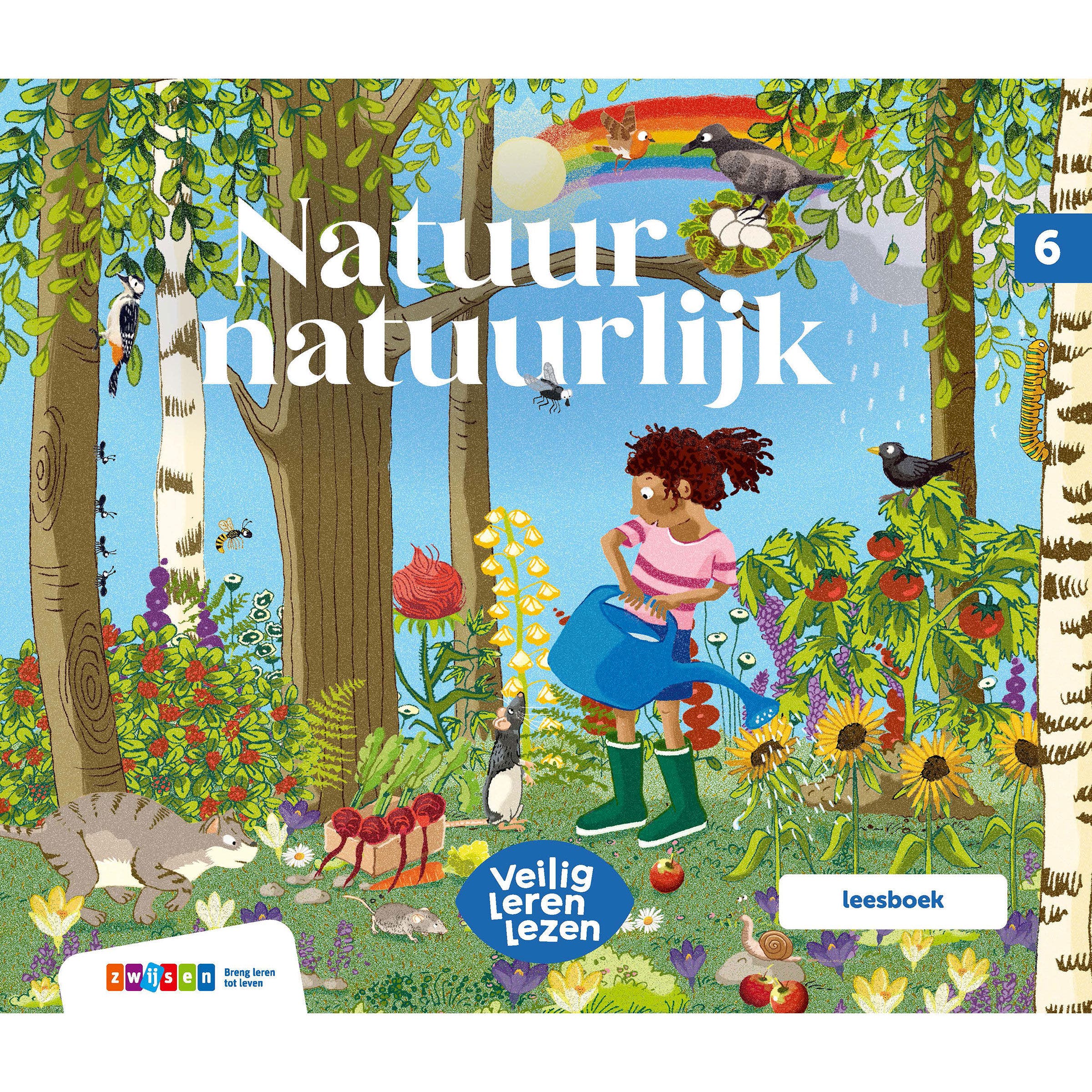 Veilig leren lezen Zoem | Leesboek 6