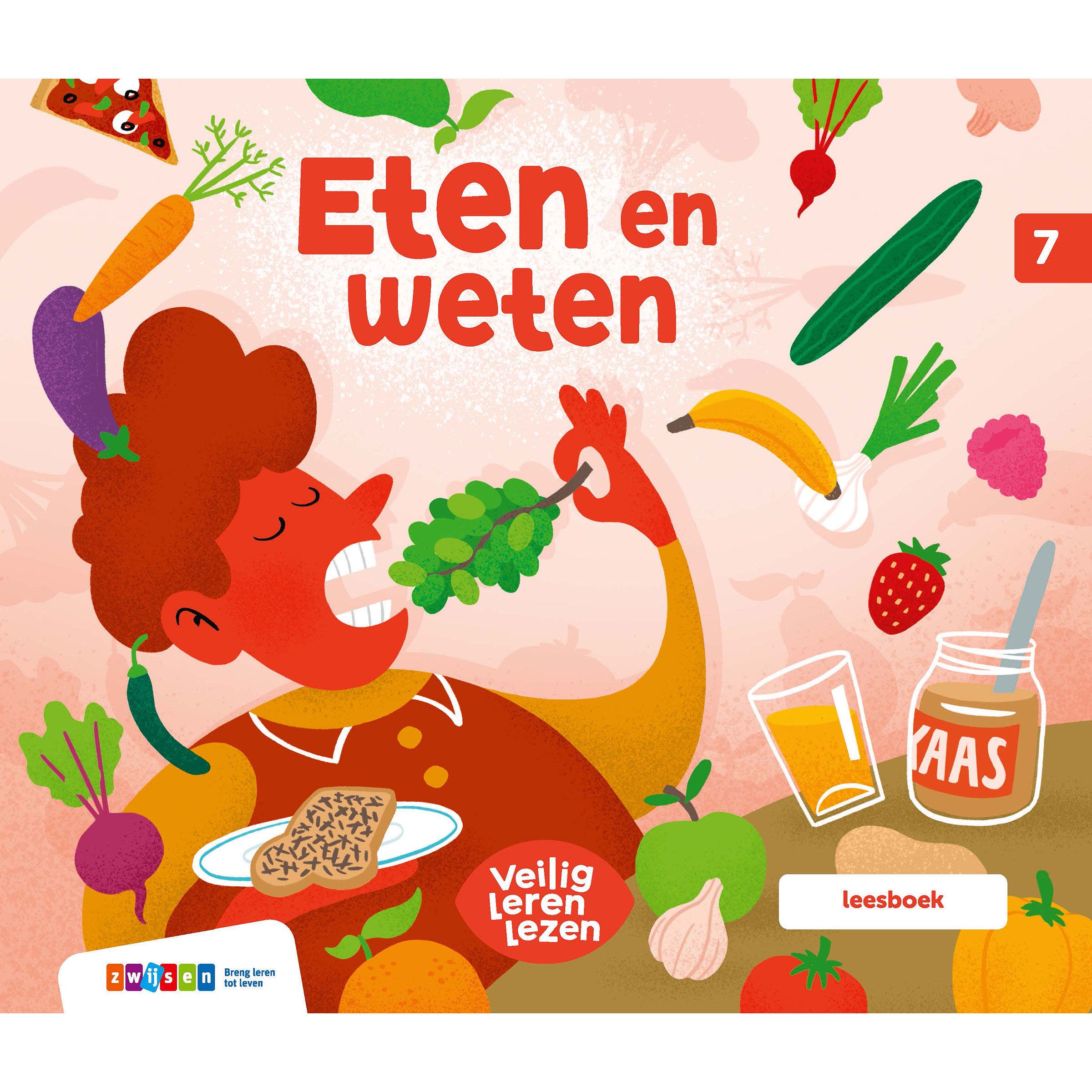 Veilig leren lezen Zoem | Leesboek 7