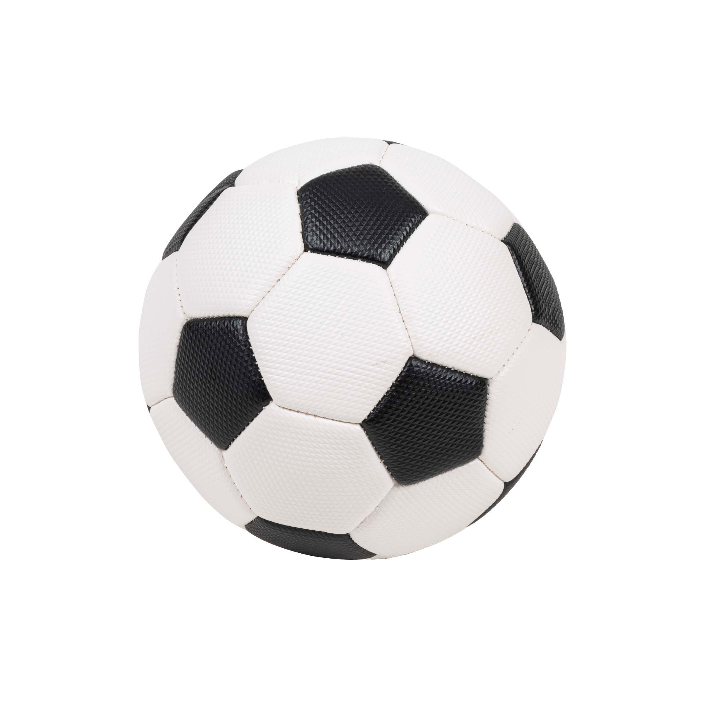 Voetbal | Nienhuis Montessori | Maat 1 | Ø 16 cm