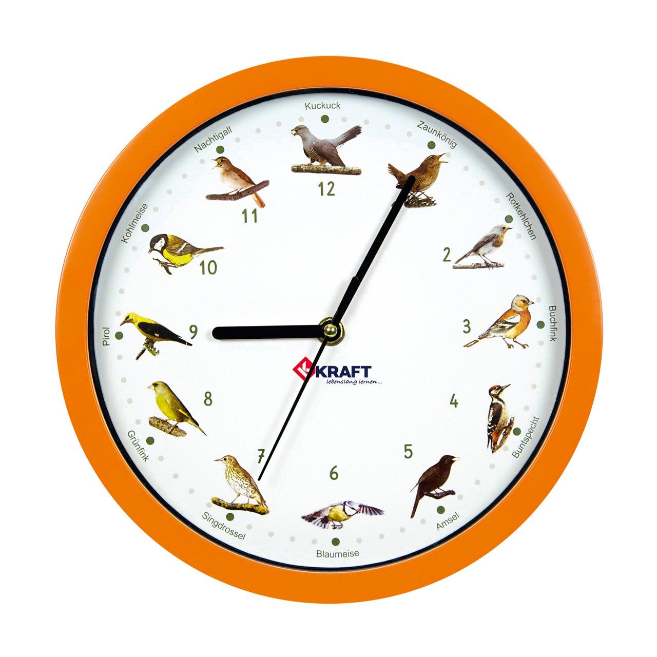 Wandklok | Vogels-thema