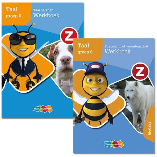 Z-Taal - Groep 6 - Zelfstandig werken