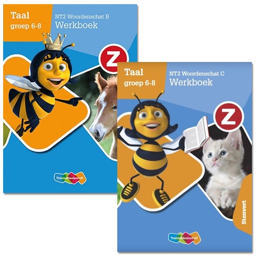 Z-Taal - NT2 Woordenschat - Zelfstandig werken