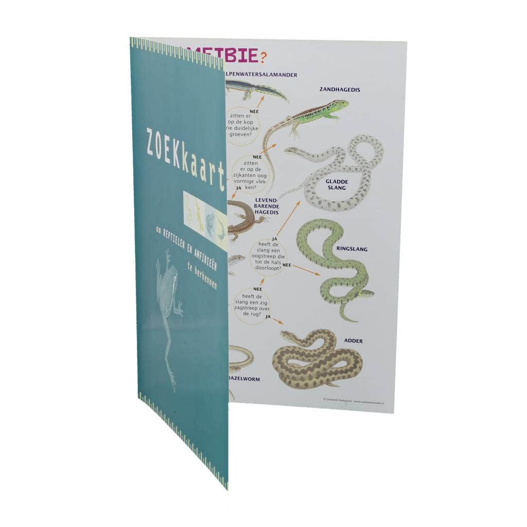 Geplastificeerde zoekkaarten - voorbeeld