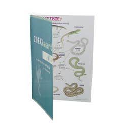 Geplastificeerde zoekkaarten - voorbeeld